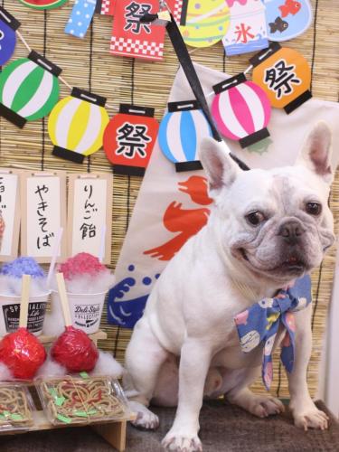 20240720ブーくん